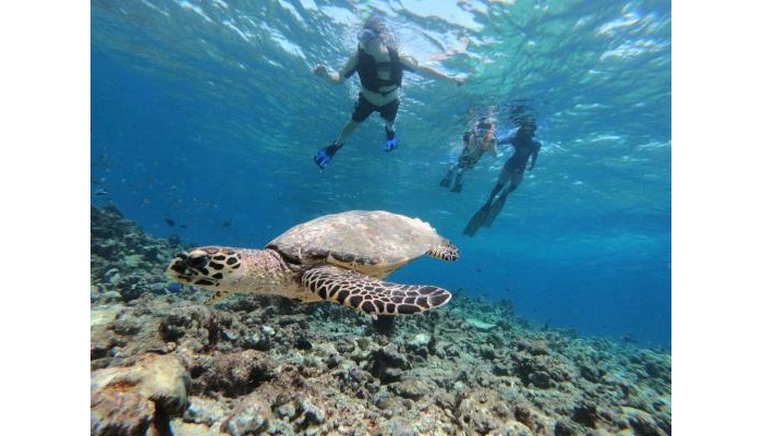 Hotel Acqua Blu Rasdhoo poza 15
