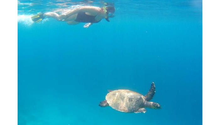 Hotel Mathiveri Thundi Inn poza 38
