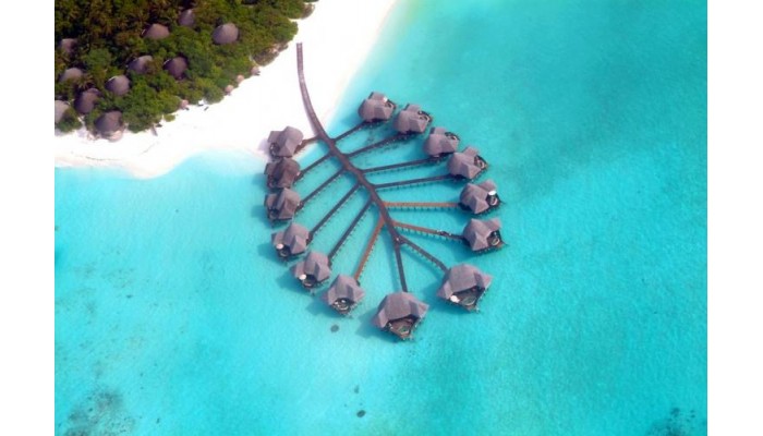 Hotel Coco Palm Dhuni Kolhu poza 1