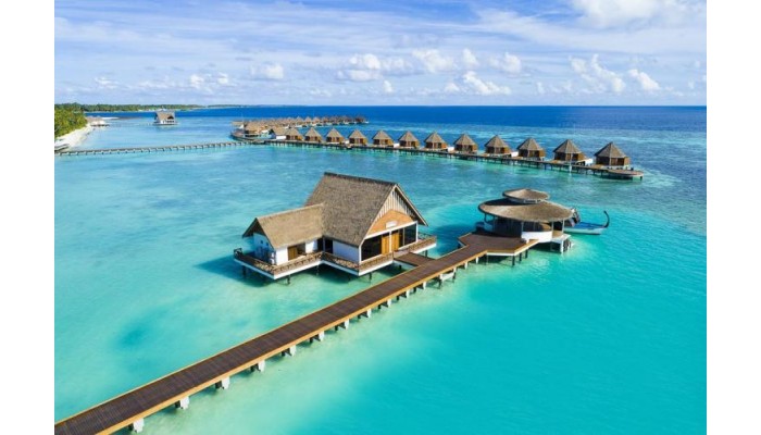 Poza pentru Mercure Maldives Kooddoo Resort 359-1539095556 Mercure Maldives Kooddoo Resort poza 9