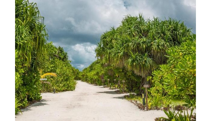 Hondaafishi Island Resort poza 4