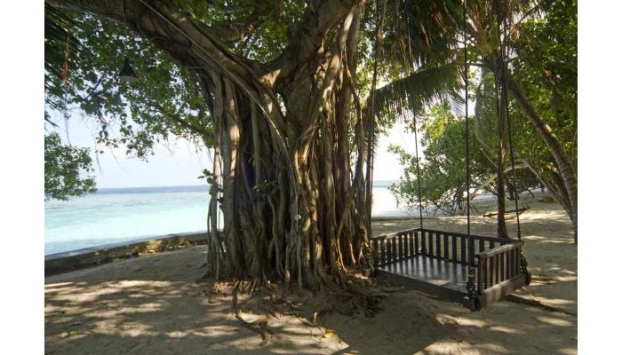 Embudu Village Resort poza 35