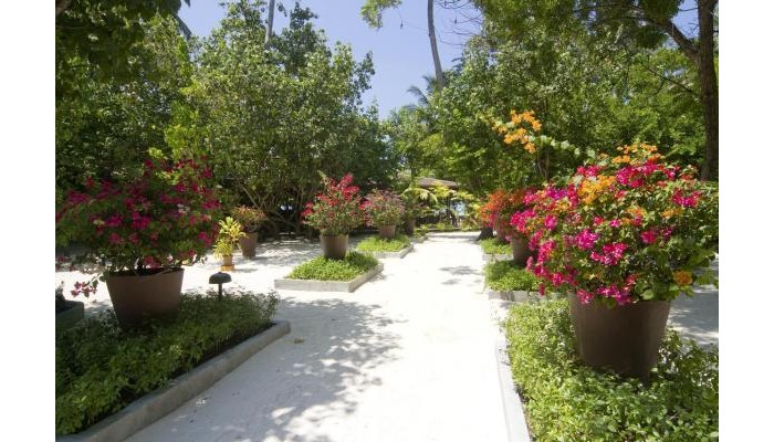 Embudu Village Resort poza 7