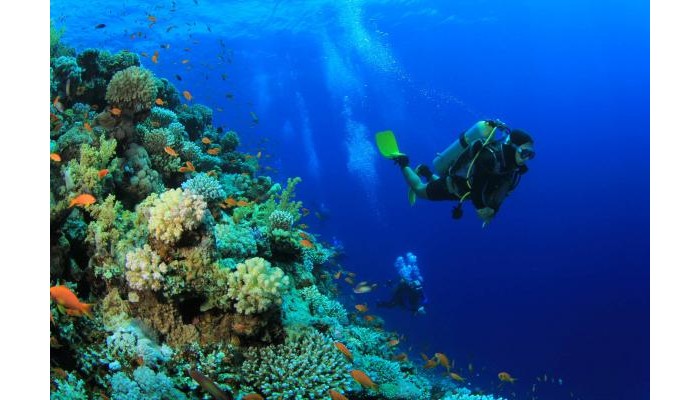 Emerald Maldives Resort & Spa poza 26