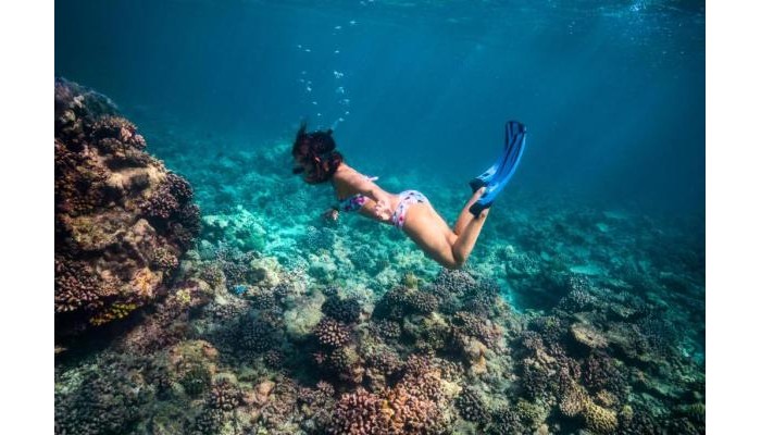 Amaya Resorts & Spas Kuda Rah poza 26