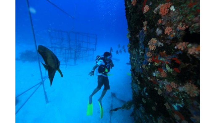 Angsana Resort & Spa Maldives Ihuru poza 6