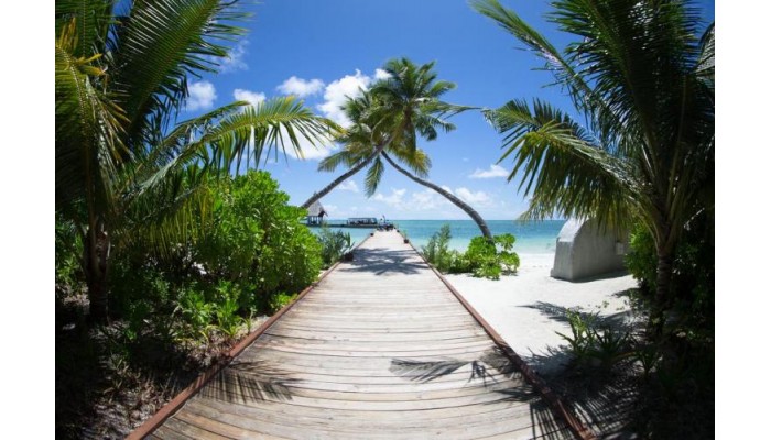 Canareef Resort Maldives poza 6