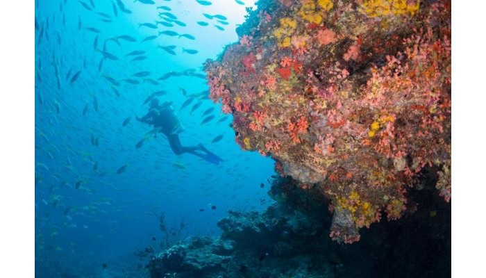 Hotel Milaidhoo Island Maldives poza 13