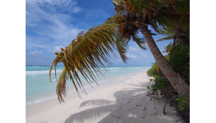 Nazaki Residences Beach Hotel poza 5