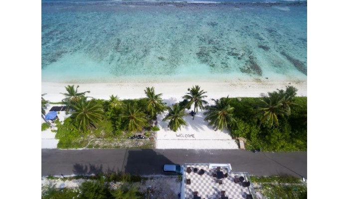 White harp beach maldives guest house топ хотелс